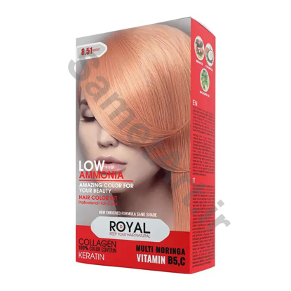 کیت-رنگ-مو-بیسکویتی-رویال-کد-851